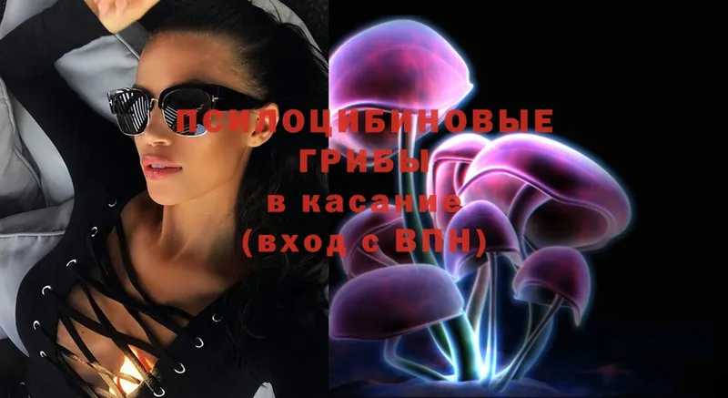 Галлюциногенные грибы Magic Shrooms  закладки  Каневская 